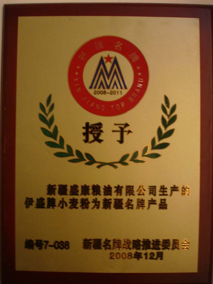 2008年新疆名牌